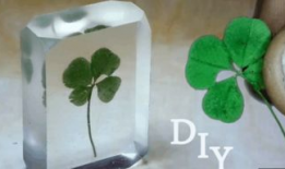 四叶草视频,一场视觉与心灵的盛宴